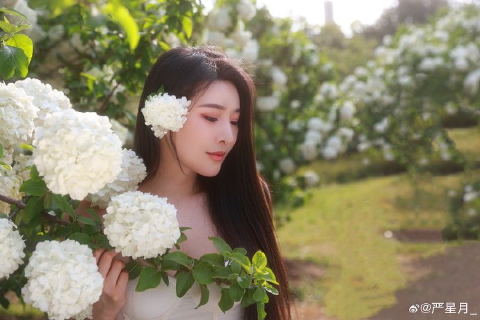 暑期档电视剧排行：百花杀第六，野狗骨头第九，第一剧热度飙升